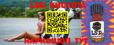 спиды Сланцы