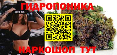 соль ск Аргун