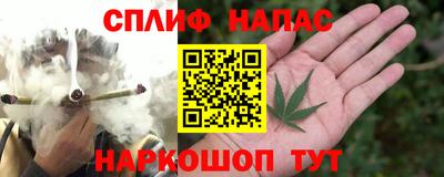 спиды Сланцы