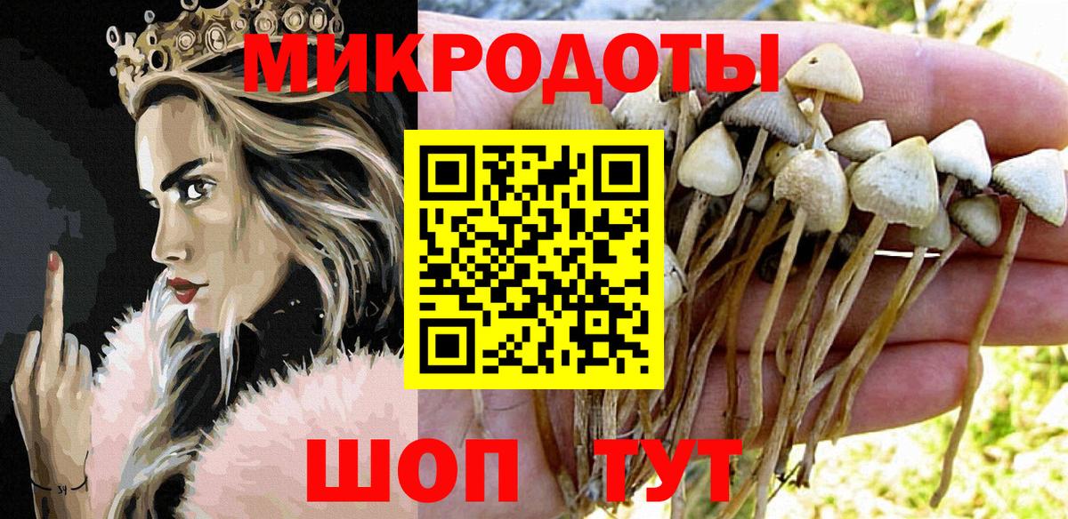 Дагестанские Огни  Галлюциногенные грибы Psilocybine cubensis  Псилоцибиновые грибы ЛСД  купить  цена  Вход с VPN 