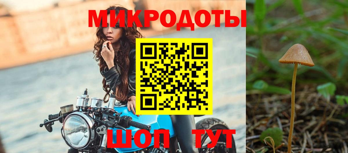 Псилоцибиновые грибы прущие грибы Дагестанские Огни